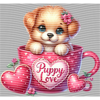 Valentine's Day-QRJ  2055